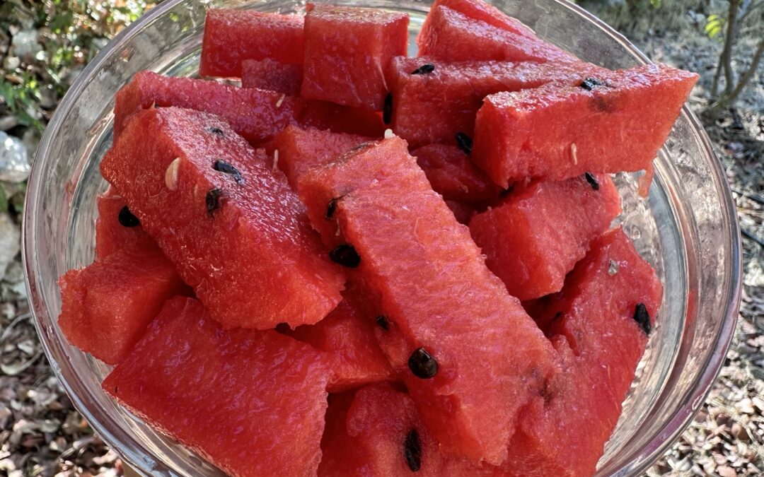 The Watermelon Controversy: Separating Myth from Reality in Food Combining